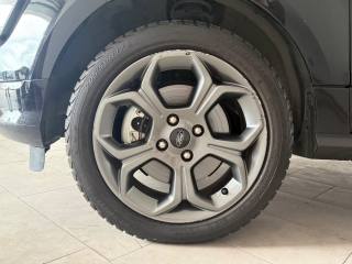 FORD EcoSport usata 6