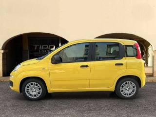FIAT Panda usata, con Climatizzatore