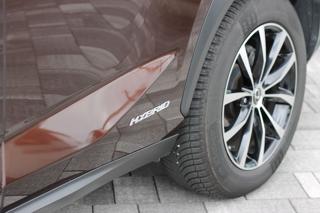 LEXUS NX 300h usata, con Servosterzo