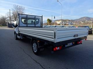 FORD Transit usata, con Servosterzo