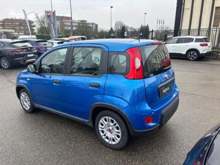 FIAT Panda usata, con Climatizzatore