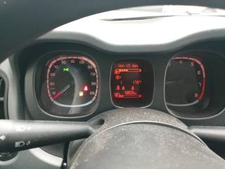 FIAT Panda usata 13