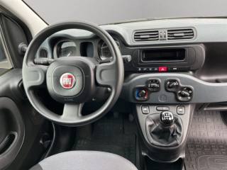 FIAT Panda usata 9