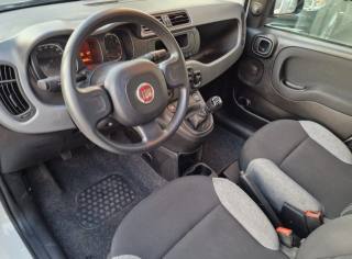 FIAT Panda usata, con Servosterzo