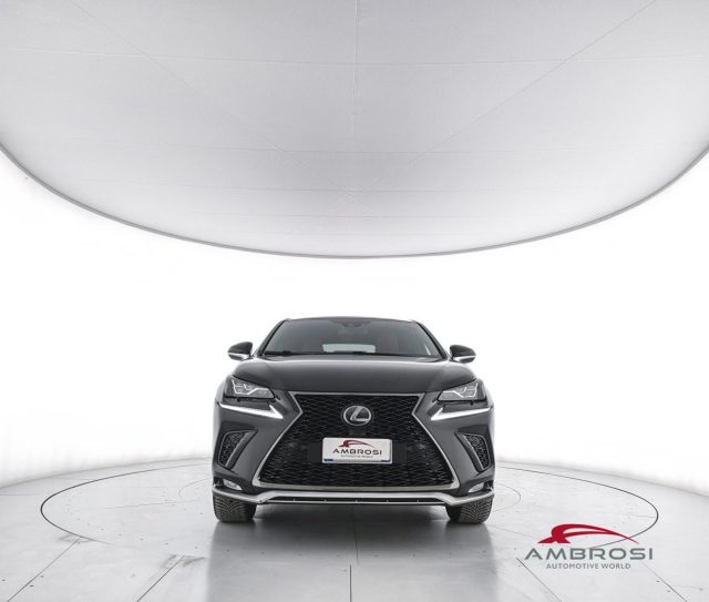 LEXUS NX 300h usata 4