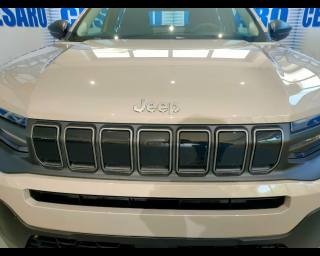 JEEP Avenger usata 25