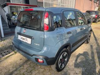FIAT Panda Cross usata, con Antifurto