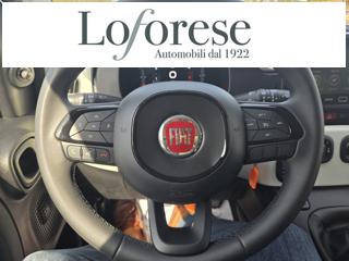 FIAT Panda Cross usata, con Fendinebbia