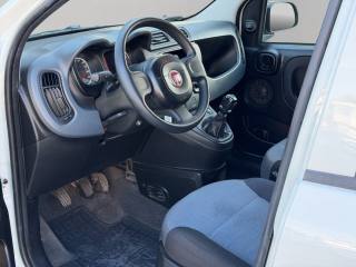 FIAT Panda usata, con ESP