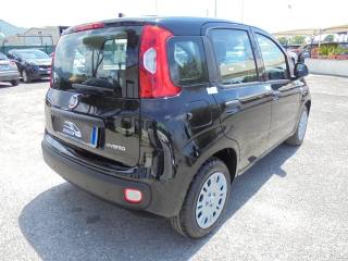 FIAT Panda usata, con Sensori di parcheggio posteriori