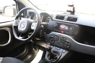 FIAT Panda usata 58