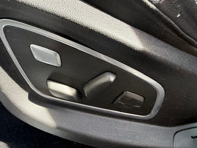 RENAULT Scenic usata, con Fendinebbia