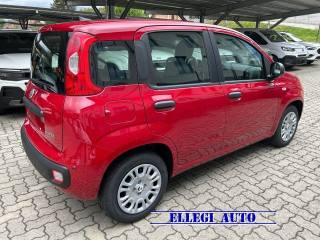 FIAT Panda usata, con Climatizzatore
