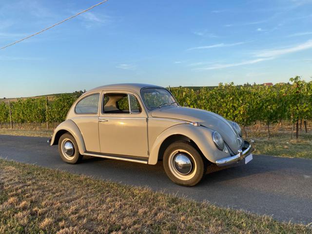 VOLKSWAGEN Maggiolino usata 5