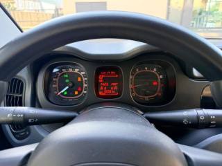 FIAT Panda usata, con Fendinebbia