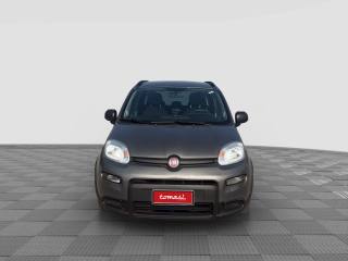FIAT Panda usata 3