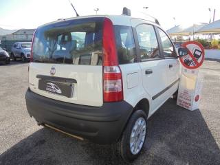 FIAT Panda usata 12