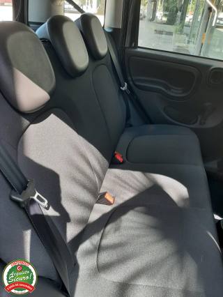 FIAT Panda usata 30