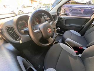 FIAT Panda usata, con Climatizzatore