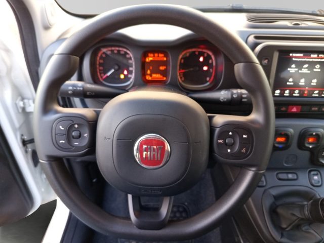 FIAT Panda Cross usata, con Fendinebbia