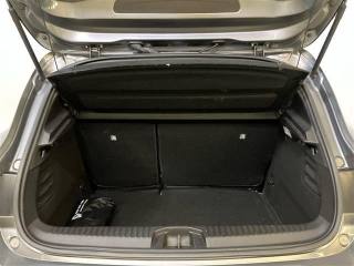 RENAULT Clio usata 20