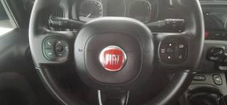 FIAT Panda usata 38