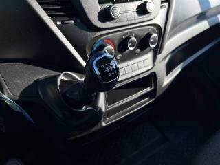 IVECO Daily usata 12