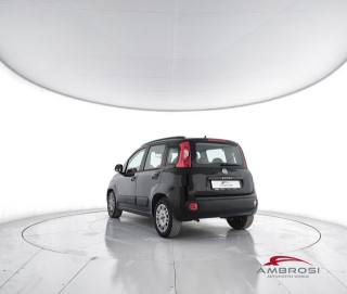 FIAT Panda usata 3