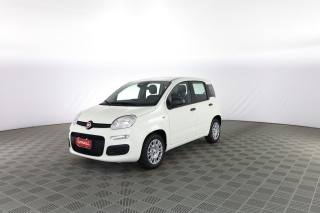 FIAT Panda usata 6