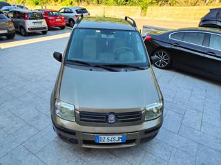 FIAT Panda usata 12