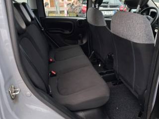 FIAT Panda usata, con Airbag testa