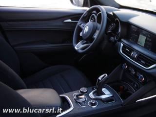 ALFA ROMEO Stelvio usata, con Cruise Control