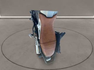 BMW R Nine T usata 2