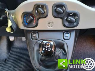 FIAT Panda usata 21