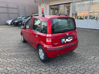 FIAT Panda usata, con Boardcomputer