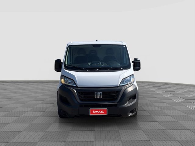 FIAT Ducato usata 7