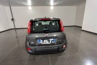 FIAT Panda usata, con Climatizzatore