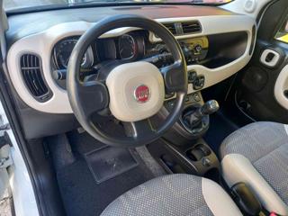 FIAT Panda usata, con Airbag testa