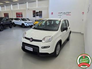 FIAT Panda usata, con Airbag Passeggero