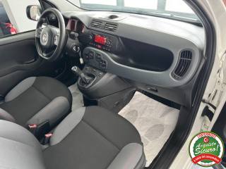 FIAT Panda usata, con Cronologia tagliandi