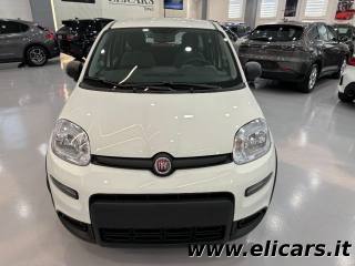 FIAT Panda usata, con Airbag