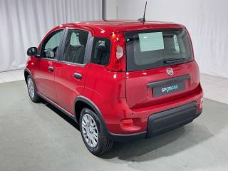FIAT Panda usata, con Airbag Passeggero
