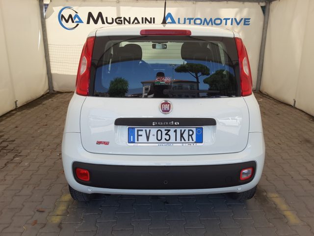 FIAT Panda usata, con Fendinebbia