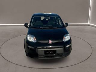 FIAT Panda usata, con Airbag