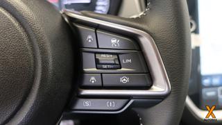 SUBARU Crosstrek usata, con Vetri oscurati