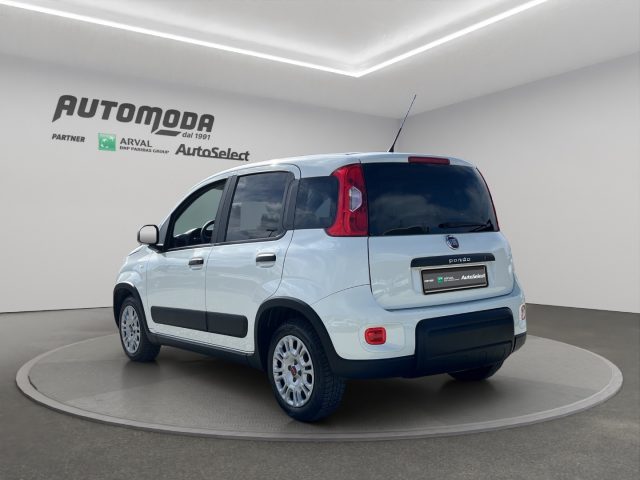 FIAT Panda usata 5