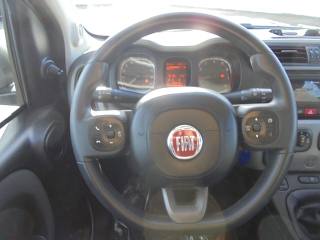FIAT Panda usata 30