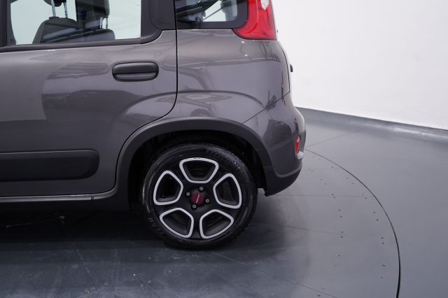 FIAT New Panda usata 24