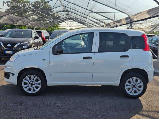 FIAT Panda usata, con Airbag testa