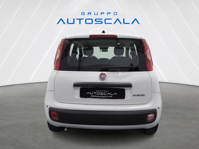 FIAT New Panda usata, con Airbag Passeggero